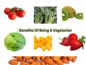 Benefits Of Being A Vegetarian