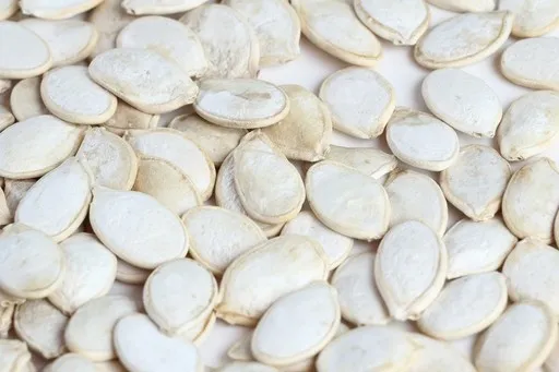 Pumpkin seeds close up