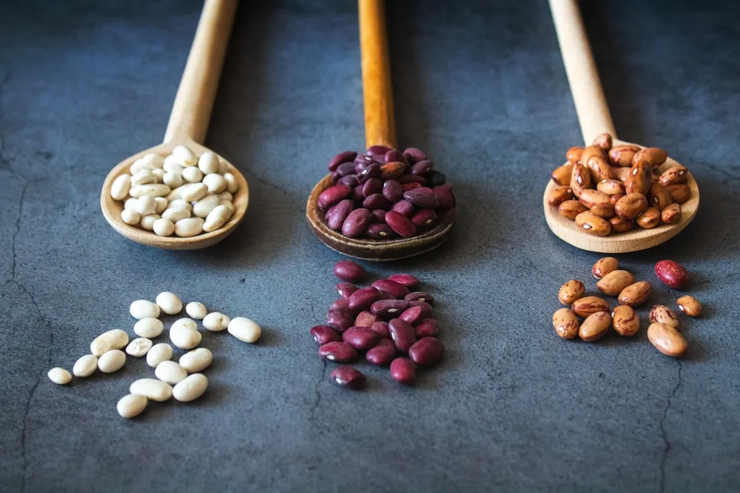 Dried beans in a wooden spoon — cheap plant protein