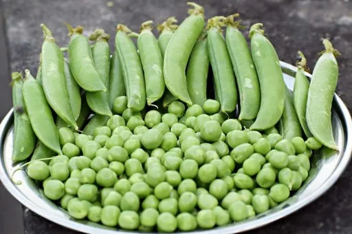 Fresh green peas