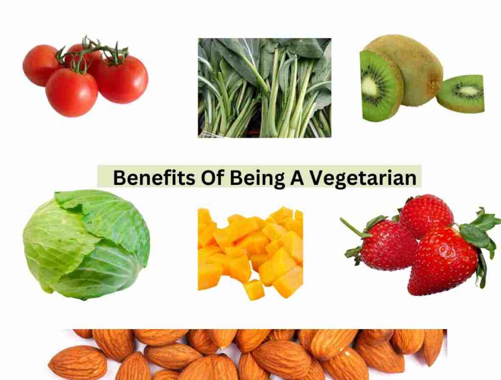 Benefits Of Being A Vegetarian Mylkmuscle