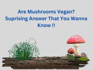 Are Mushrooms Vegan 