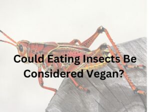Could Eating Insects Considered y
