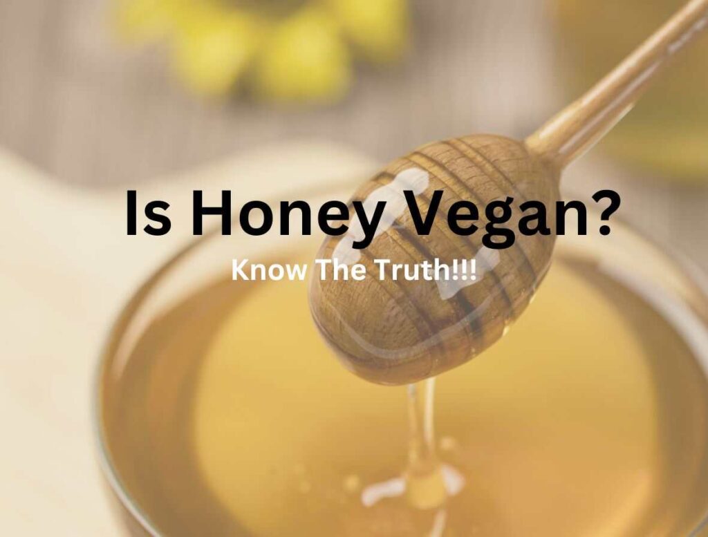 Is Honey Vegan? MylkMuscle