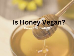 Is Honey Vegan?